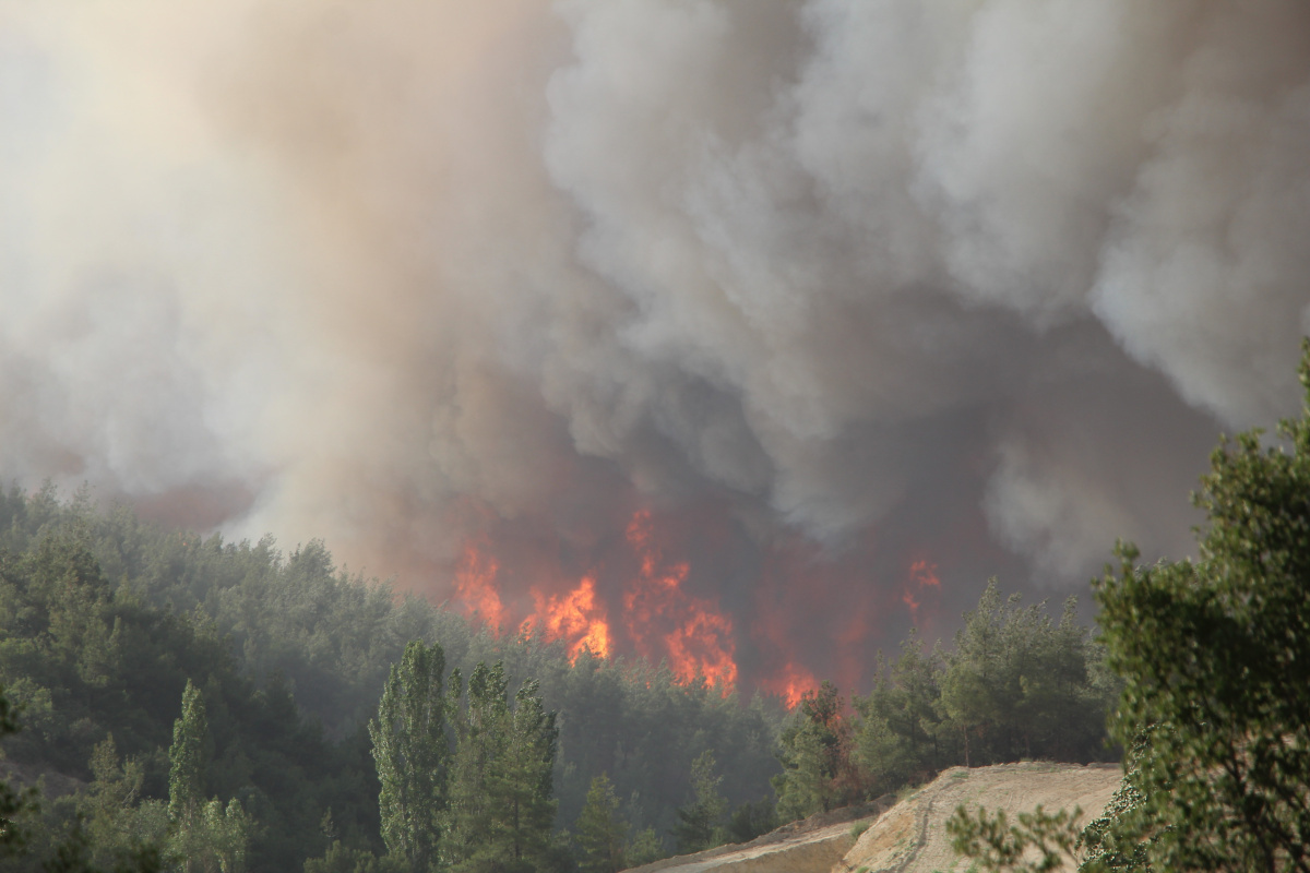 Denizli&#039;deki 5 orman yangını tamamen söndürüldü