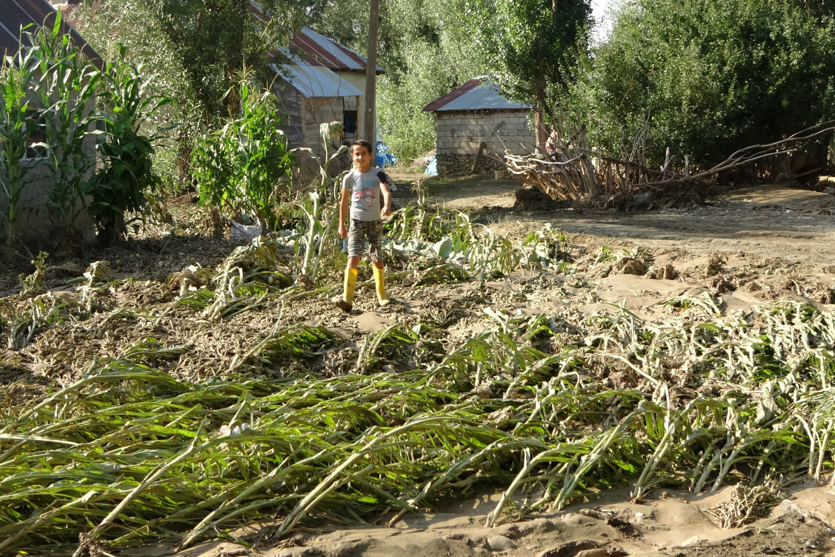 Sel felaketinde tarım alanları başta olmak üzere birçok yer zarar gördü
