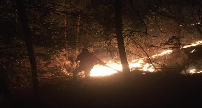 Mardin Büyükşehir Belediyesi yangın bölgesindeki çalışmalarına devam ediyor