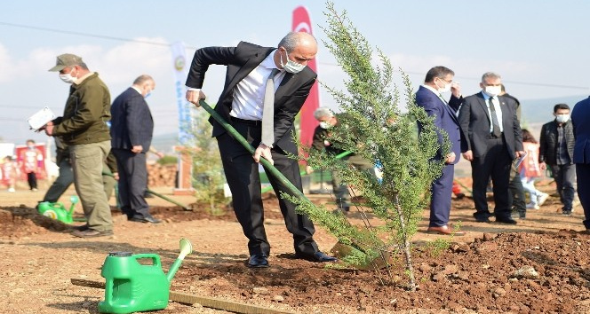 Dulkadiroğlu’nun nüfusu kadar fidan dikilecek