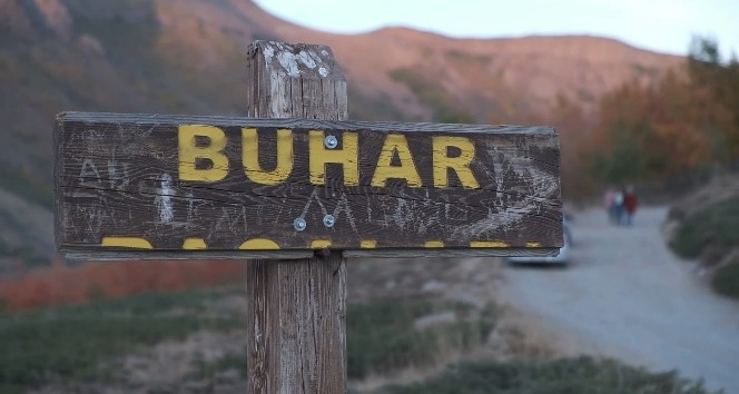 Hastalar Nemrut Dağı’ndaki buhar bacalarında şifa arıyorlar