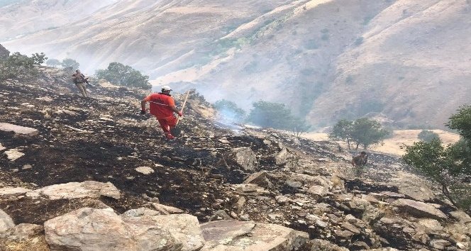 Bingöl’de ormanlık alandaki yangın büyümeden söndürüldü