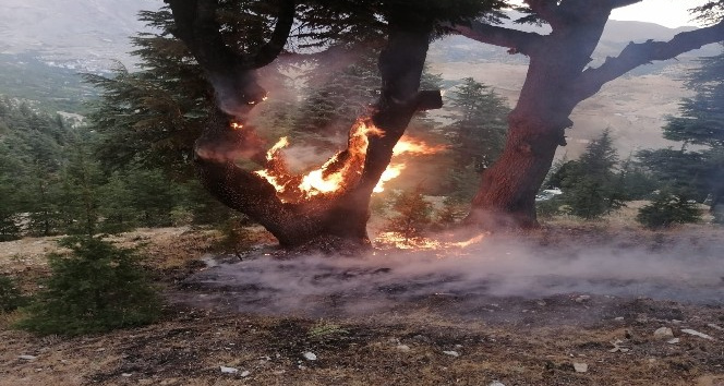 Yıldırım düştü yangın büyümeden söndürüldü