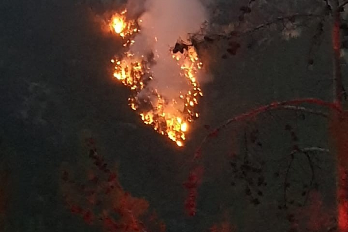 Adana Saimbeyli’de düşen yıldırım 3 kişiyi yaralandı, ormanda yangın çıktı