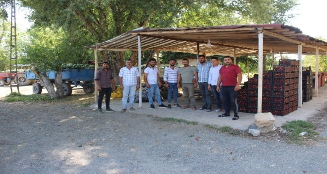 Iğdır’da yetiştirilen yerli ürünler Nahçıvan Yolu üzerinde sergileniyor