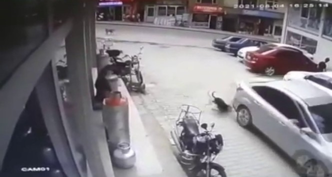 Köpeği ezdi, yoluna devam etti, o anlar kameraya yansıdı