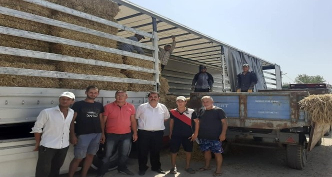 Biga’dan afet bölgesine saman balyası gönderildi