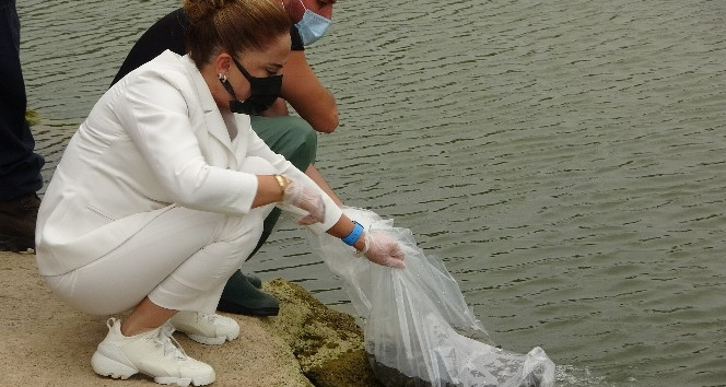 Uşak’ta 259 bin sazan göllere bırakıldı