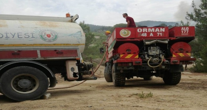 Altınova ekibi yangın bölgesinde