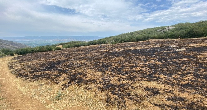 Tokat’ta anız yangını ormana sıçramadan söndürüldü