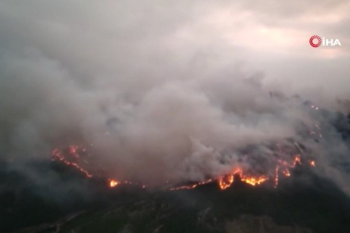MSB:&#039;Mehmetçik yangın bölgesinde canla başla çalışıyor&#039;