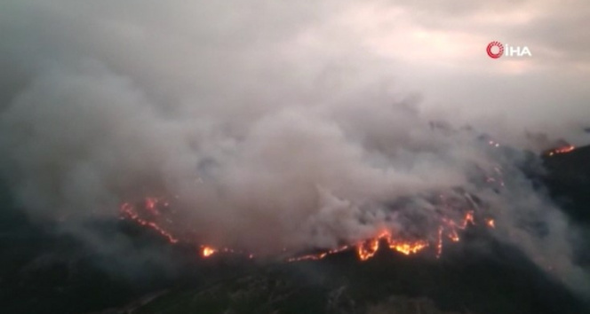 MSB:Mehmetçik yangın bölgesinde canla başla çalışıyor
