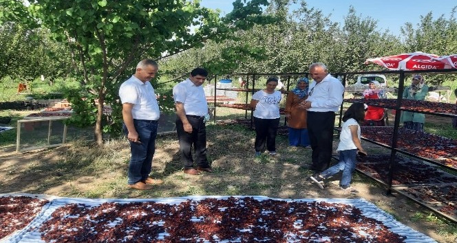 Rektör Alma, Iğdırlı kadın üreticileri ziyaret etti