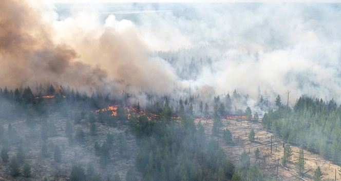 Sibiryadaki orman yangınları yerleşim alanlarını tehdit etmeye devam ediyor