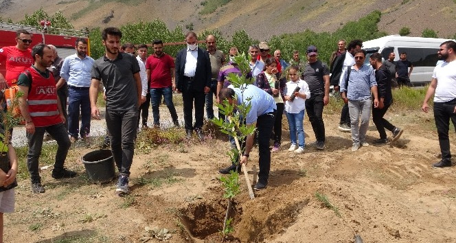 Ülkede çıkan yangınlardan dolayı Nemrut Dağı’nda ağaç dikimi gerçekleştirildi