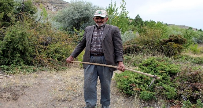 Ahmet Dede, kasabasında bulunan dağa 34 yıldır fidan dikiyor