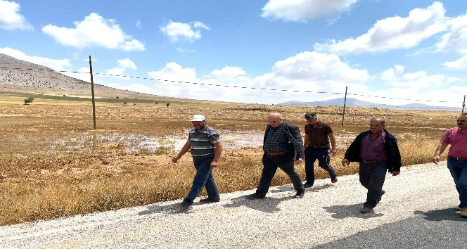 Karaman’da aniden yağan dolu, nohut tarlalarına zarar verdi