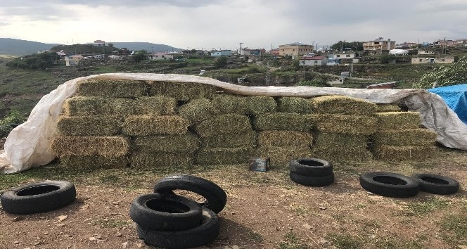 Ot balyası çalan 3 zanlı gözaltına alındı