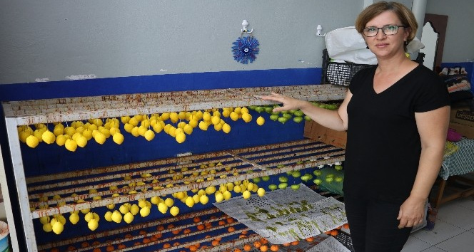 Osmanlı mirası meyve sabunları kadınlara gelir kapısı oldu