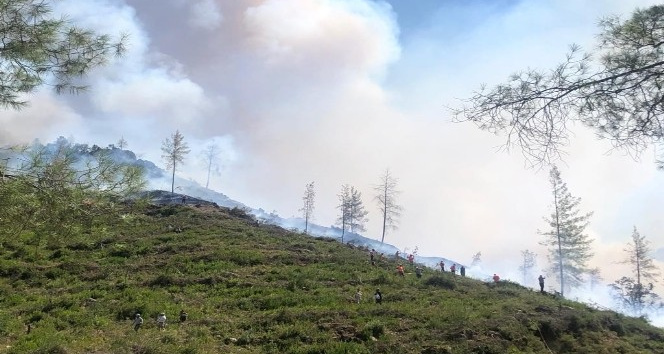 Burdur’da çıkan yangına 4 helikopter ve 1 uçakla müdahale ediliyor