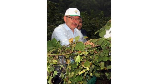 AK Parti Giresun Milletvekili Kadir Aydın: “Üreticinin beklediği fiyat açıklandı”