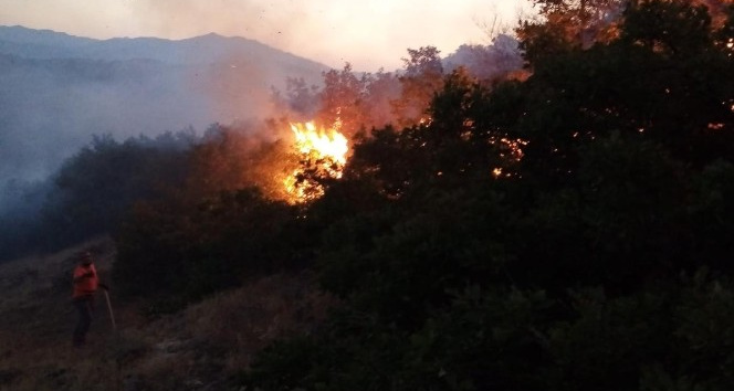 Bingöl’de orman yangını büyümeden söndürüldü