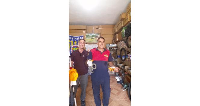Iğdır’da bisikletçi dükkanına giren yılan korkuttu