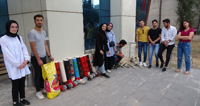 Eski su borularından sokak hayvanları için su ve mama kapları yaptılar