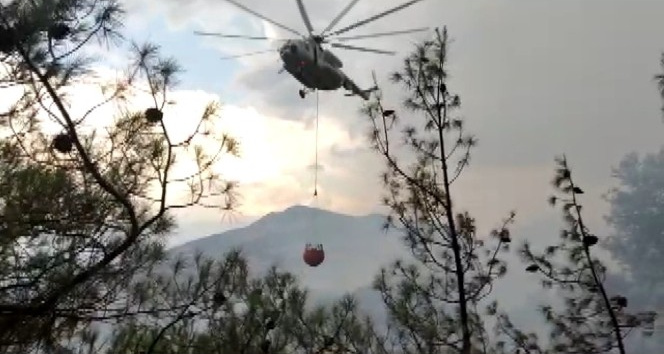 Kahramanmaraş’ta orman yangınında 3 hektar alan zarar gördü