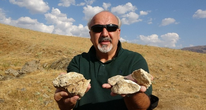 Muş’ta 35 milyon yıllık deniz canlıları fosili bulundu