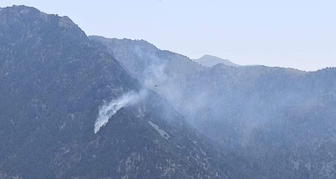 Kahramanmaraş’ta orman yangını