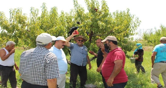 Iğdır İl Tarım Müdürü Yolcu, tarlada çalışan çiftçileri dinledi
