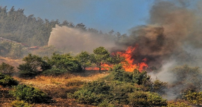 Kahramanmaraş’ta orman yangını
