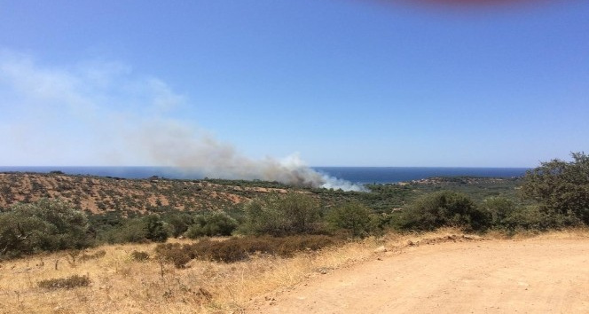 Çanakkale’de orman yangınına havadan müdahale ediliyor