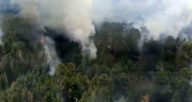Antalyada orman yangını başladı