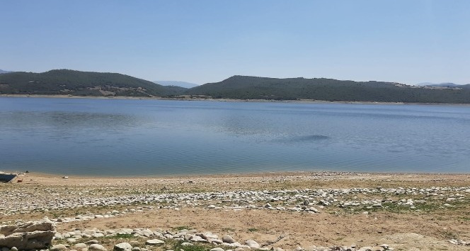 Kahramanmaraş’ta düşen uçağın karabatak kuş sürüsüne çarptığı iddia edildi