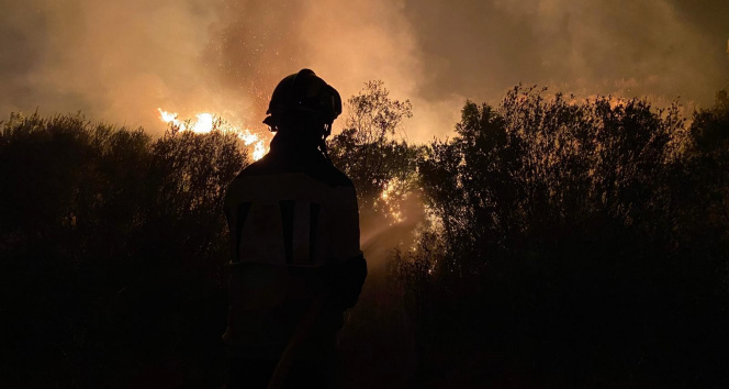 İspanyada yılın en büyük yangını: 12 bin hektarlık ormanlık alan küle döndü
