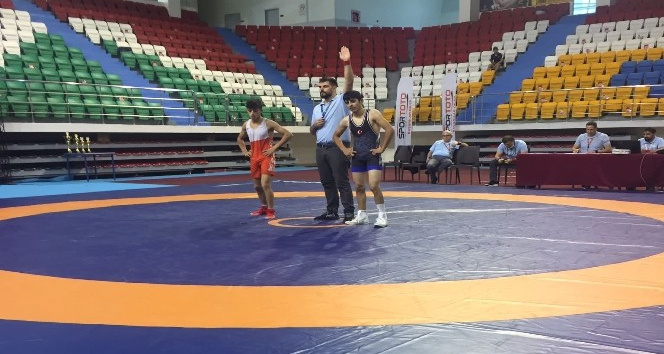 Vanlı Güreşçi Şervan Türkiye Şampiyonu Oldu