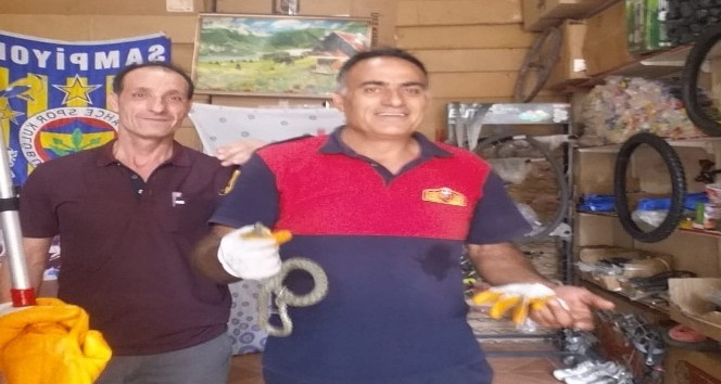 İş yerine giren yılan yakalanarak doğal ortamına bırakıldı