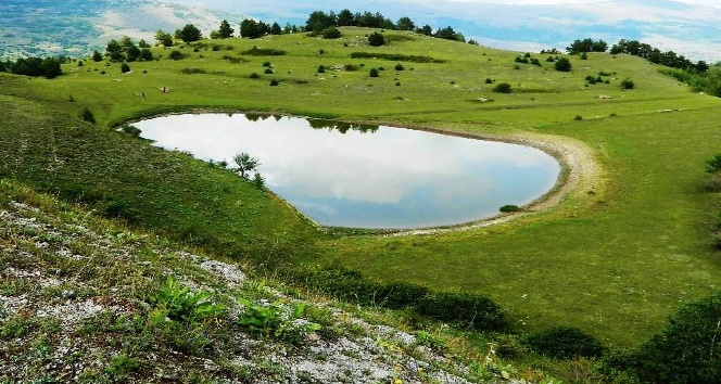 Posof özlenen doğasına Ağustos’ta kavuştu