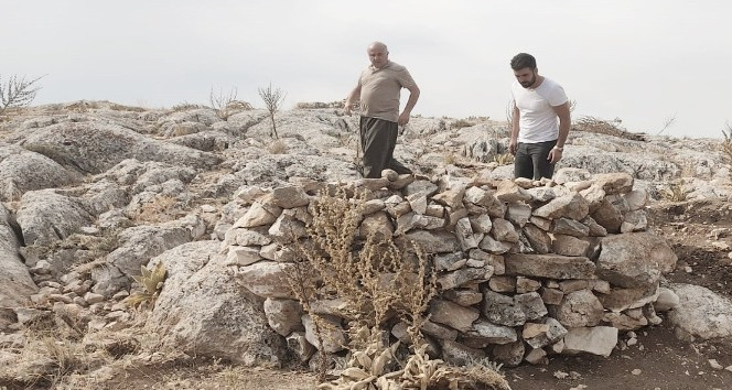 Yaban keçilerini yasadışı olarak avlamak için kurulan evsinler imha edildi
