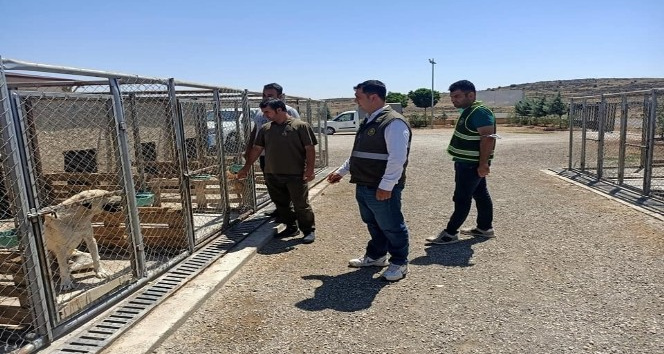 Geçici Hayvan Bakım evinde denetim