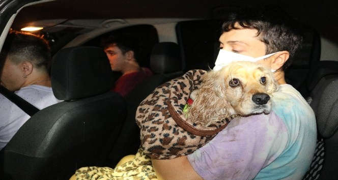 Meriç Köprüsü’nden atlayan köpeği için nehre daldı