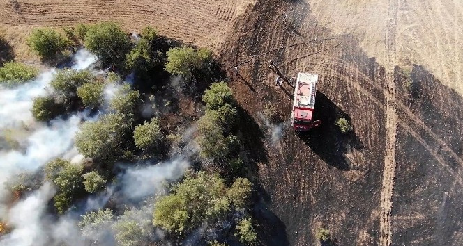 Anız yangını ormana sıçradı: Erken müdahaleyle yüzlerce ağaç kurtarıldı