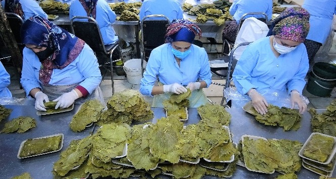 Tokat’tan Dubai ve Katar’a bağ yaprağı ihracatı