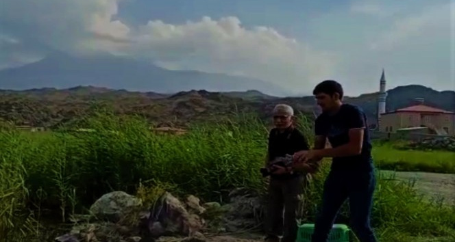 Yol üzerinde bulunan Macar ördeği doğaya bırakıldı