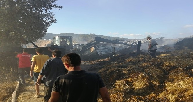 Yenice’de çıkan yangında ev ve ahır yandı, hayvanlar telef oldu