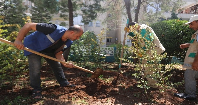 Haliliye’de parklar yenileniyor