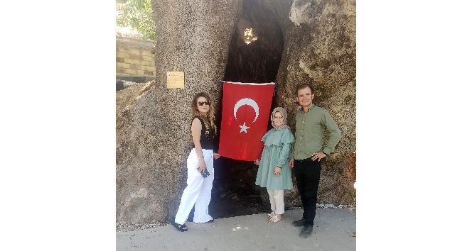 Kahramanmaraş’ta 800 yıllık çınar ağacına yoğun ilgi