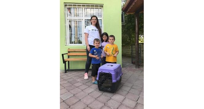 Minik doğa severlerin bulduğu kirpi, bakımı sonrası doğaya bırakıldı